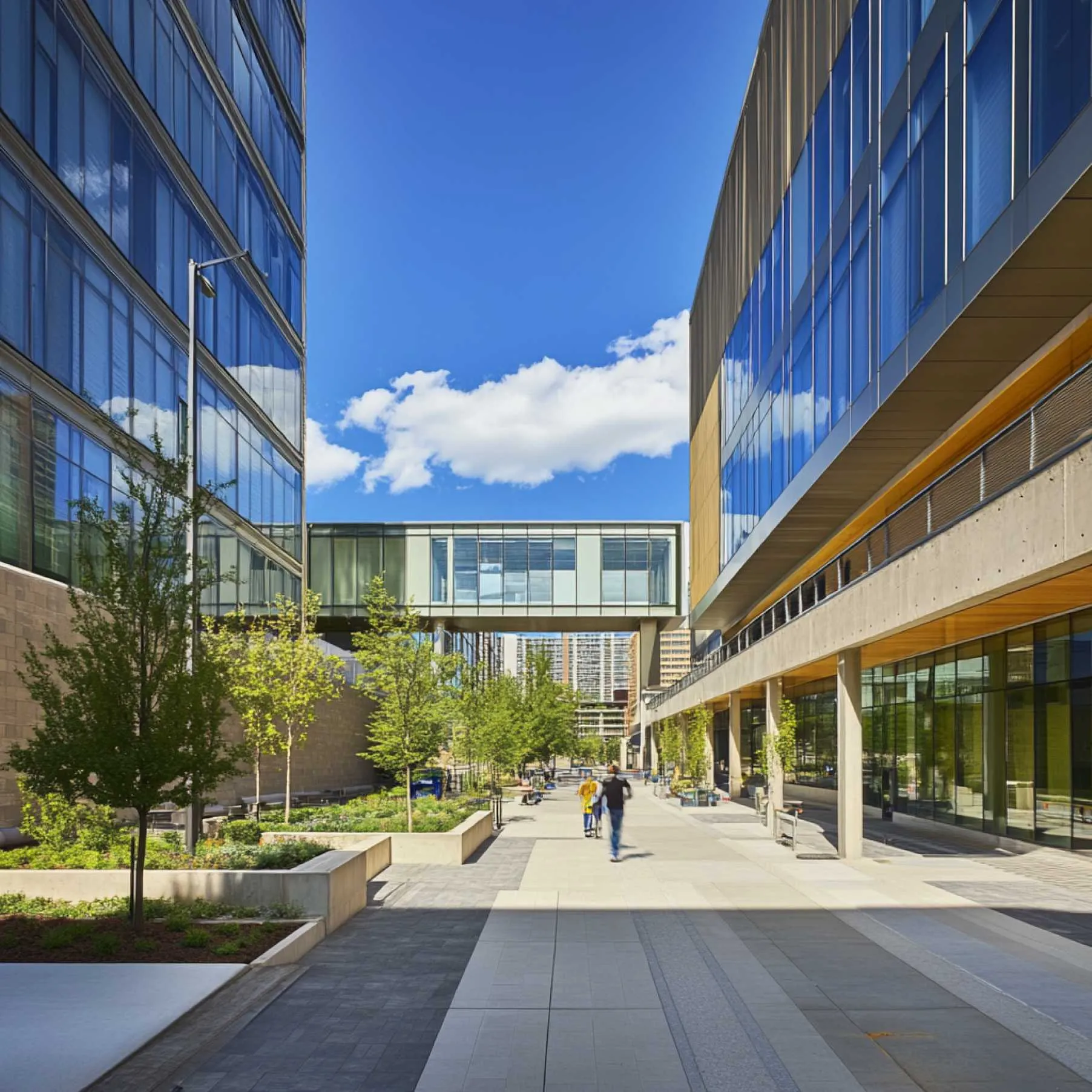 Montefiore Medical Center Featured Image