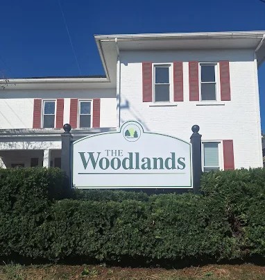 The Woodlands Featured Image
