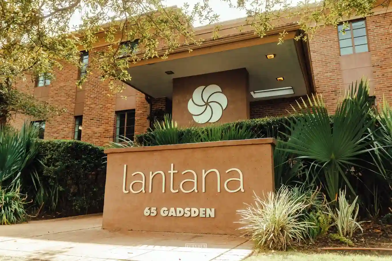 Lantana Recovery Featured Image