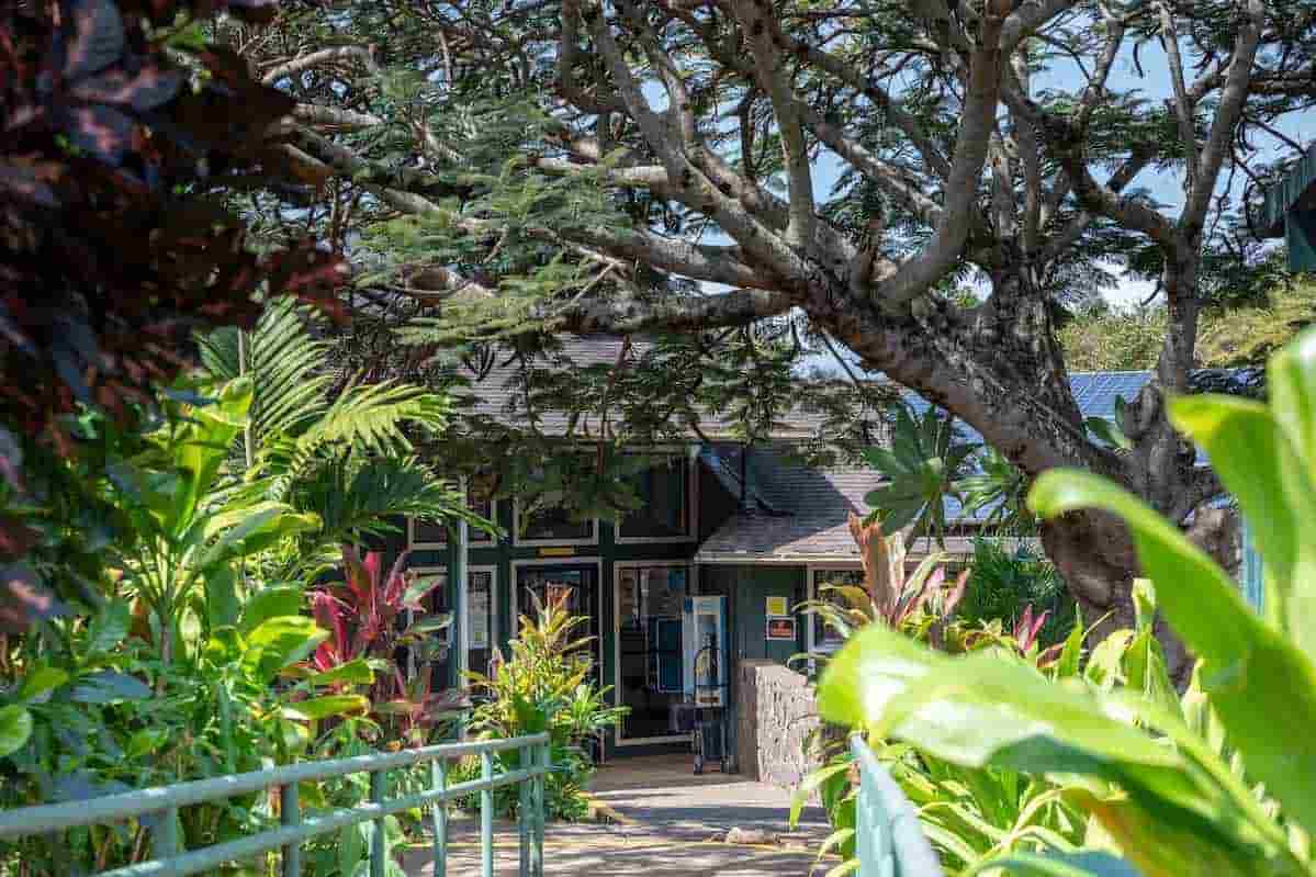 Aloha House Featured Image